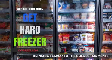 Why Some Foods Stay Soft in the Freezer: The Science Explained