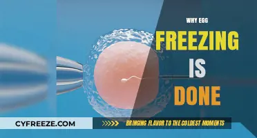 Preserving Fertility: Understanding the Reasons Behind Egg Freezing