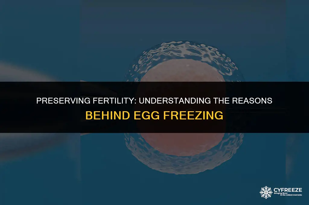 why egg freezing is done