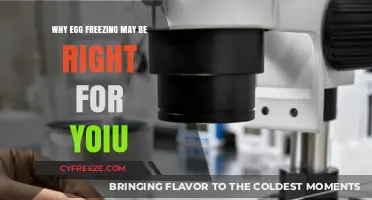 Considering Your Future: The Benefits of Egg Freezing