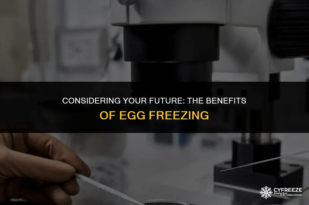 why egg freezing may be right for yoiu