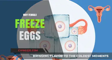 Empowering Choices: Understanding the Reasons Behind Female Egg Freezing