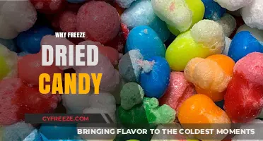 The Sweet Science Behind Freeze-Dried Candy: A Delicious Transformation