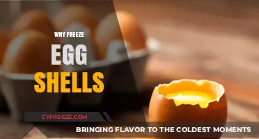 The Surprising Benefits of Freezing Eggshells: A Sustainable Kitchen Hack