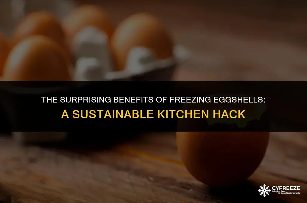 why freeze egg shells