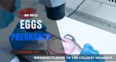 Preserving Fertility: The Empowering Choice to Freeze Eggs for Future Pregnancy