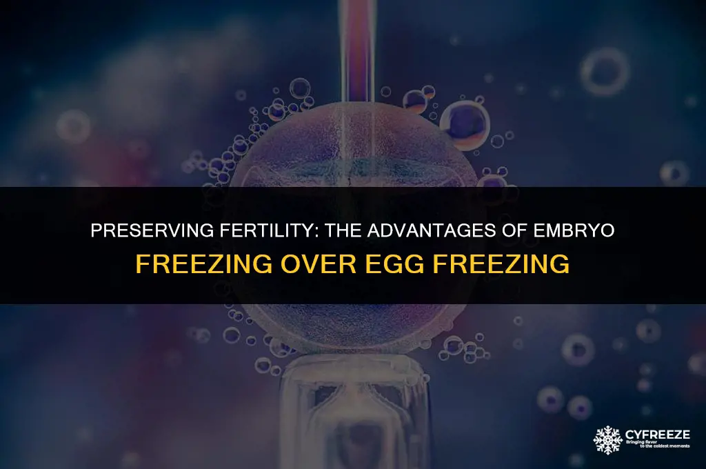 why freeze embryos instead of eggs