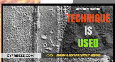 Why Freeze Fracture Technique is Essential in Cell Membrane Studies