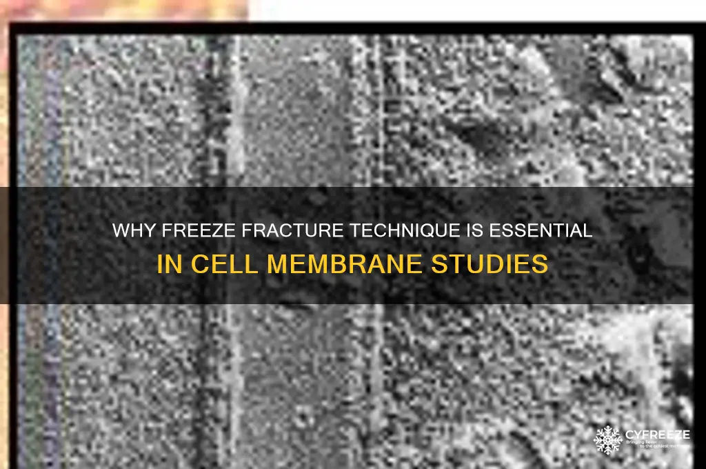 why freeze fracture technique is used
