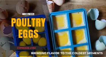 The Surprising Benefits of Freezing Poultry Eggs: A Complete Guide