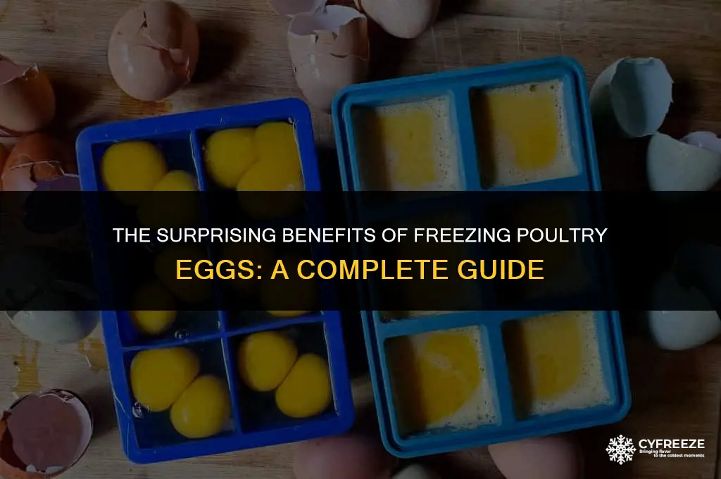 why freeze poultry eggs