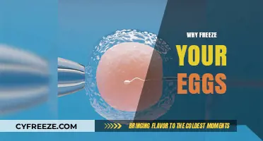Why Freeze Your Eggs: Empowering Fertility Choices for Future Family Planning