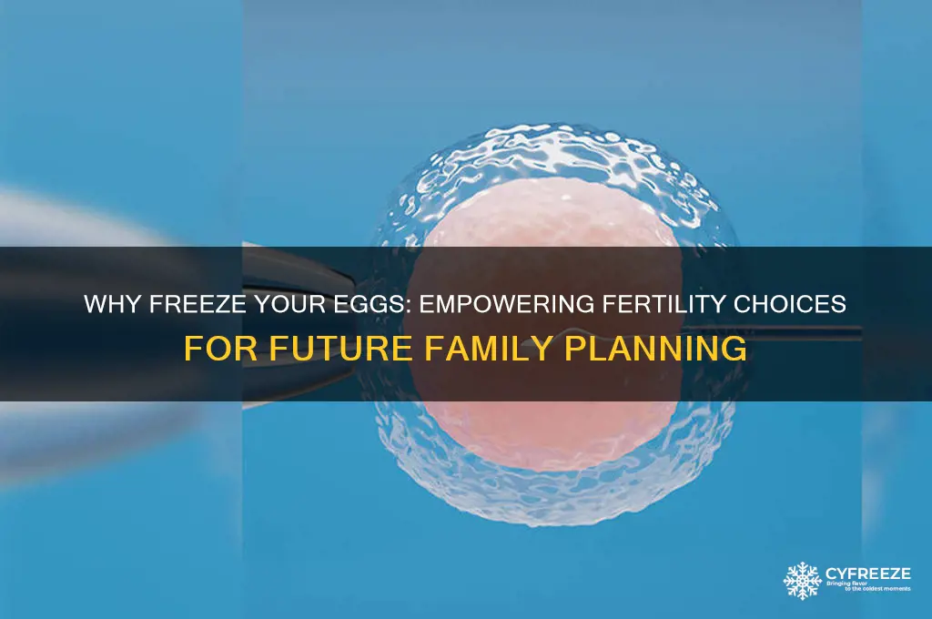 why freeze your eggs