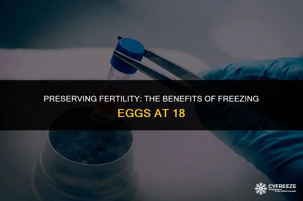 why freezing your eggs at 18