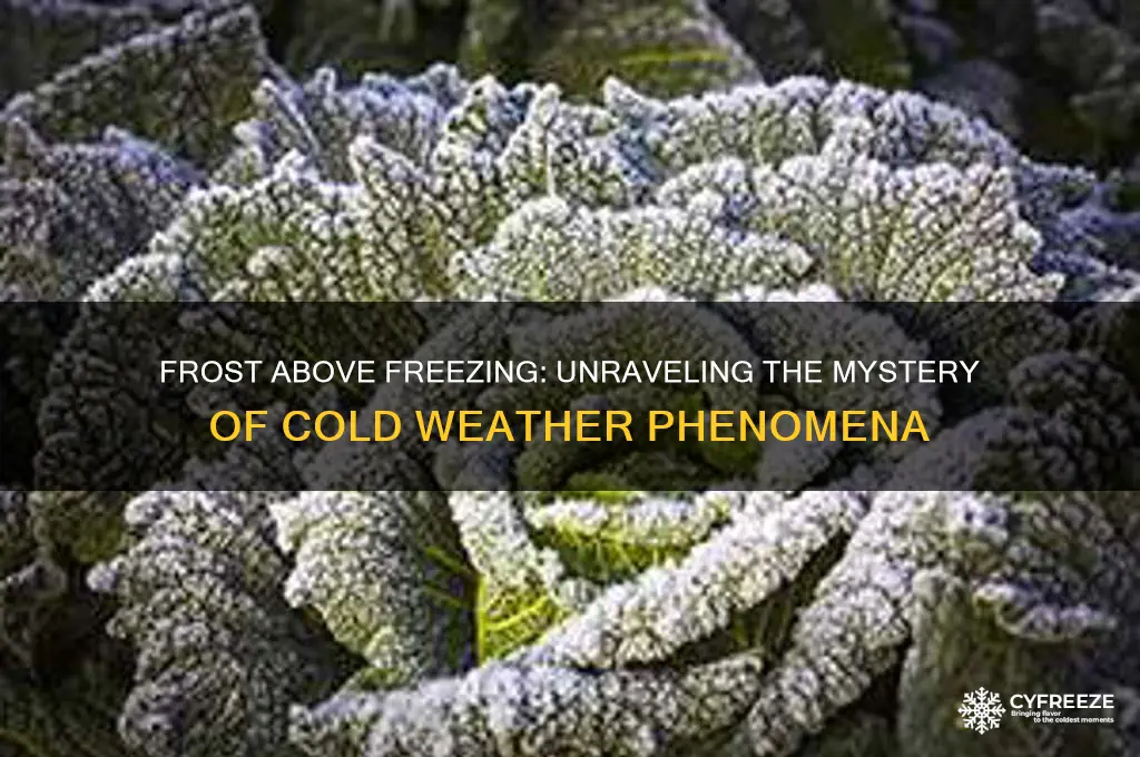 why frost when temperature is above freezing