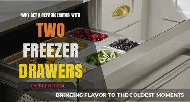 Maximize Storage: Benefits of Dual Freezer Drawer Refrigerators