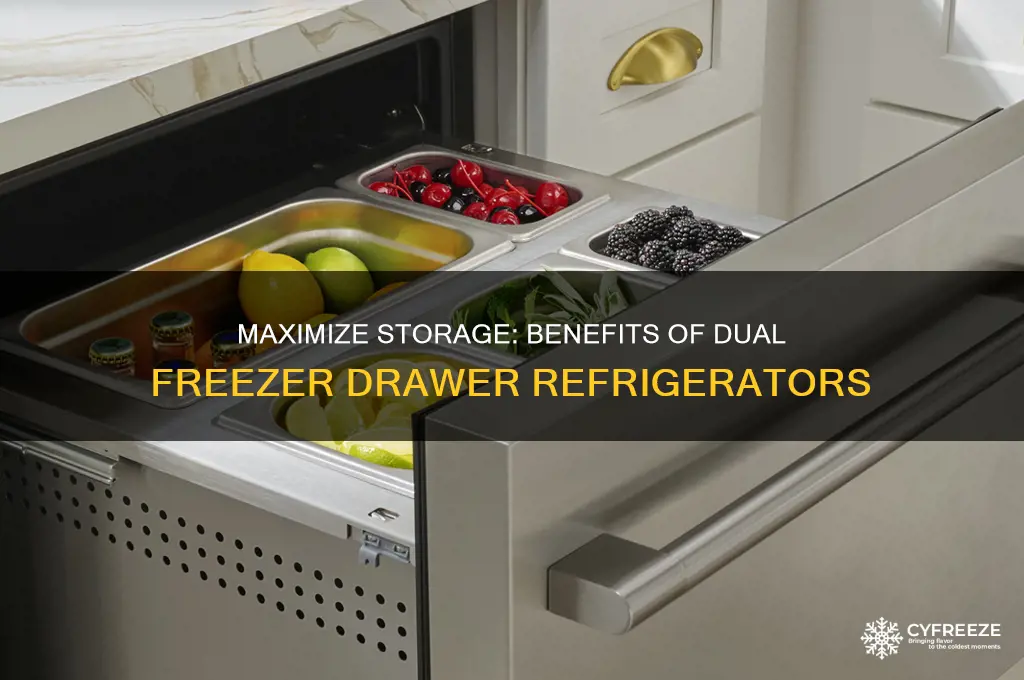 why get a refridgerator with two freezer drawers