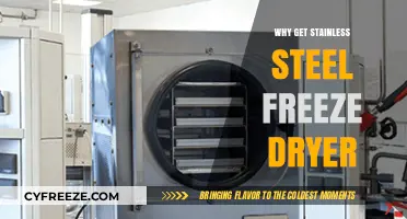 Preserve Food Longer: Benefits of Stainless Steel Freeze Dryers