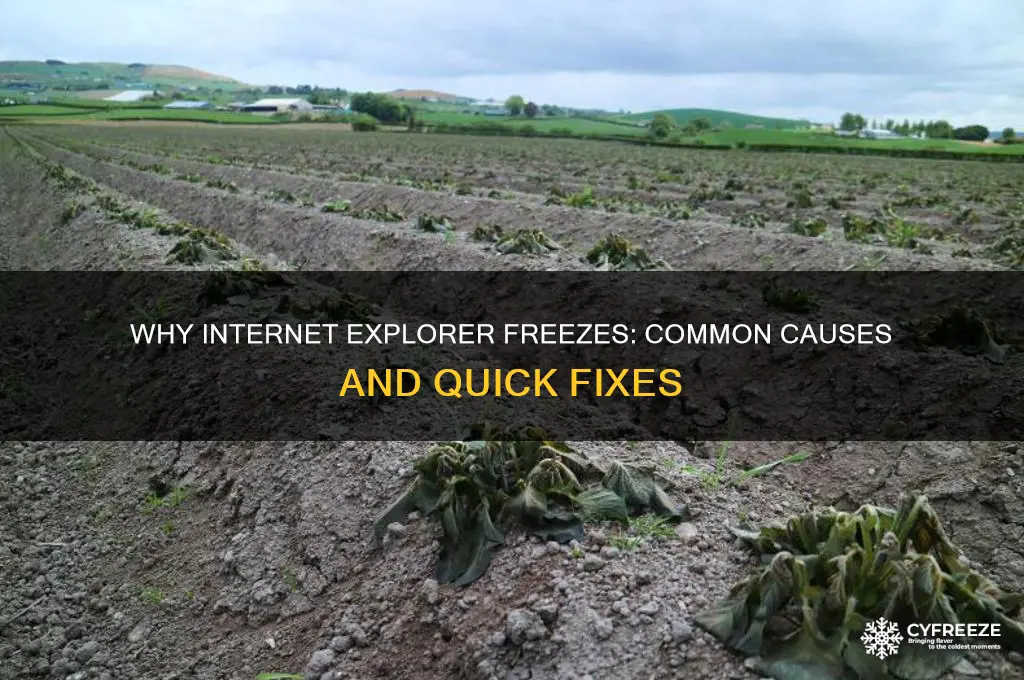 why ie get freeze