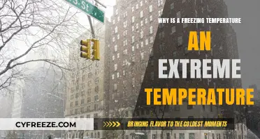 Freezing Temperatures: Understanding Their Extreme Impact on Life and Environment