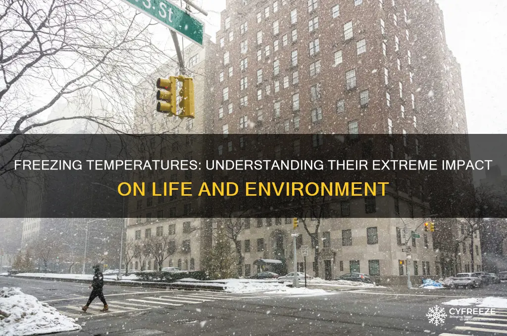 why is a freezing temperature an extreme temperature