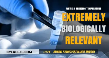 Freezing Temperatures: Unlocking Survival Secrets in the Biological World