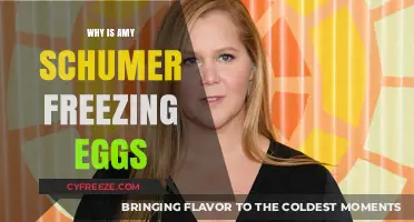 Amy Schumer's Egg Freezing Journey: A Personal Choice for Future Parenthood