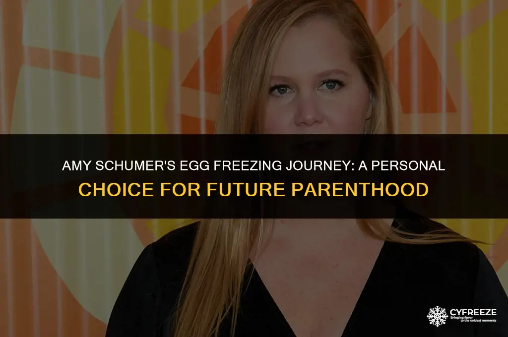 why is amy schumer freezing eggs
