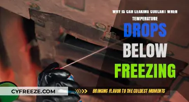 Preventing Coolant Leaks: Why Your Car Leaks When Temperatures Drop Below Freezing