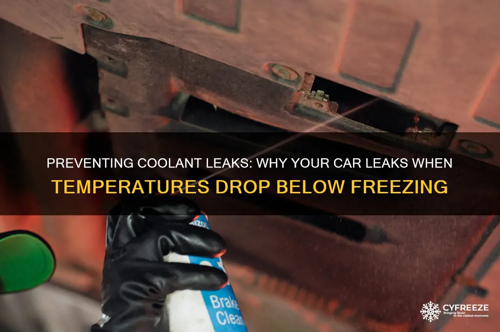 why is car leaking coolant when temperature drops below freezing