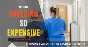 The Cost of Preserving Fertility: Understanding Egg Freezing Expenses