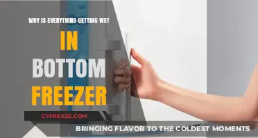 Why Is Everything Getting Wet in My Bottom Freezer? Causes and Fixes