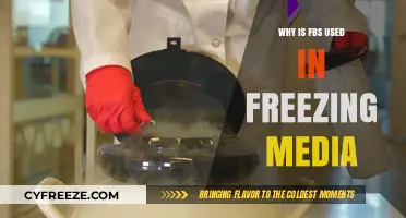 FBS in Freezing Media: Essential Role and Benefits Explained