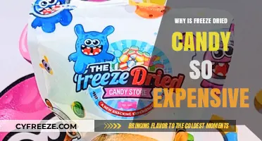 The Sweet Freeze: Unraveling the Cost Mystery of Freeze-Dried Candy