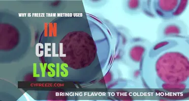 Freeze-Thaw Method: Effective Cell Lysis Technique Explained Simply