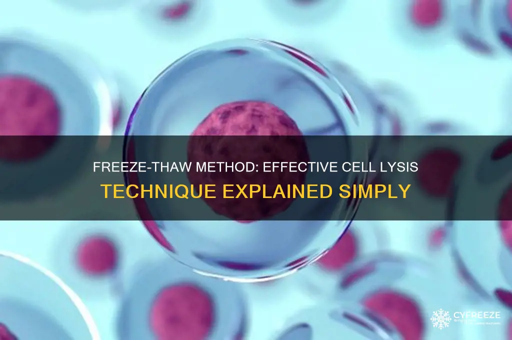why is freeze thaw method used in cell lysis