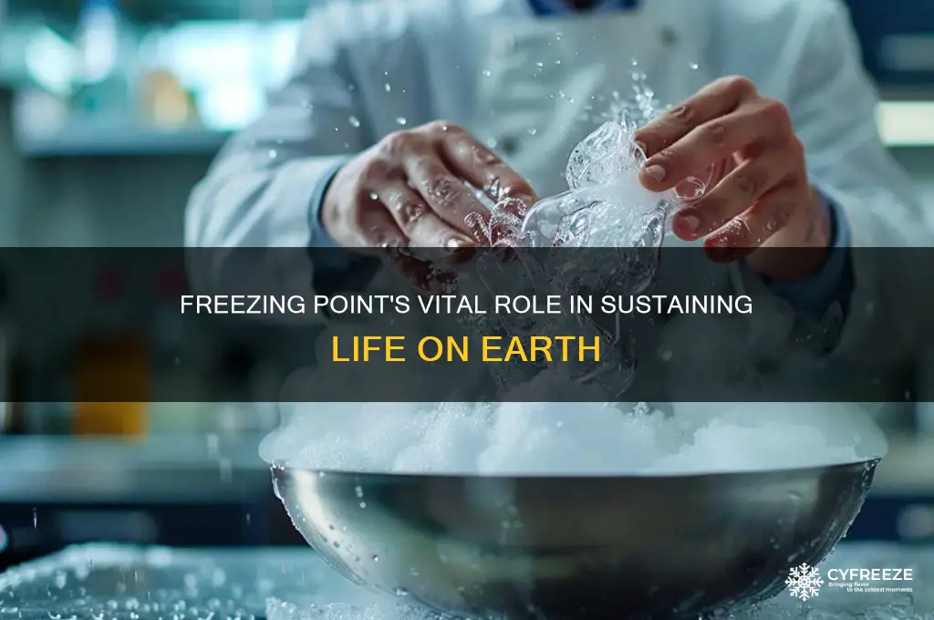 why is freezing point important to life