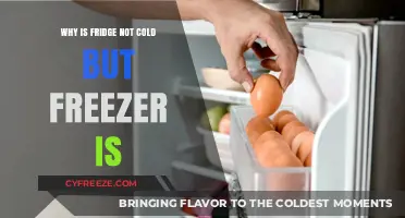 Chilled Confusion: Why Your Fridge Isn't Cold But Your Freezer Is