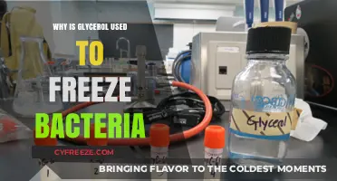 Glycerol's Role in Safely Freezing and Preserving Bacteria Explained