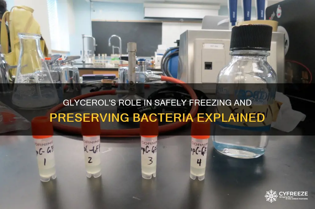 why is glycerol used to freeze bacteria