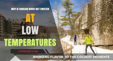 Why the Hudson River Defies Freezing in Extreme Cold Weather