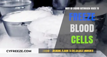 Liquid Nitrogen's Role in Safely Freezing and Preserving Blood Cells