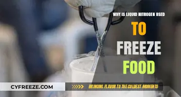 Liquid Nitrogen's Role in Rapidly Freezing Food for Optimal Preservation