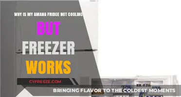 Troubleshooting Your Amana Fridge: Why Isn't It Cooling?
