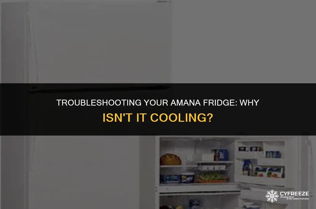 why is my amana fridge not cooling but freezer works