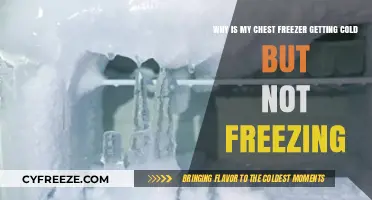 Chest Freezer Cold, Not Freezing? Troubleshooting Tips and Solutions