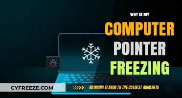 Computer Pointer Freezing? Troubleshooting Tips to Fix Unresponsive Cursor Issues