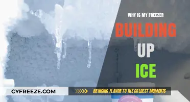 Chill Issues: Understanding and Fixing Freezer Ice Buildup