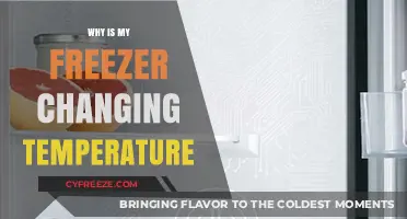 Why Your Freezer Temperature Fluctuates: Causes and Quick Fixes