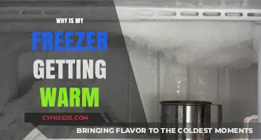 Why Your Freezer is Warming Up: Common Causes and Fixes
